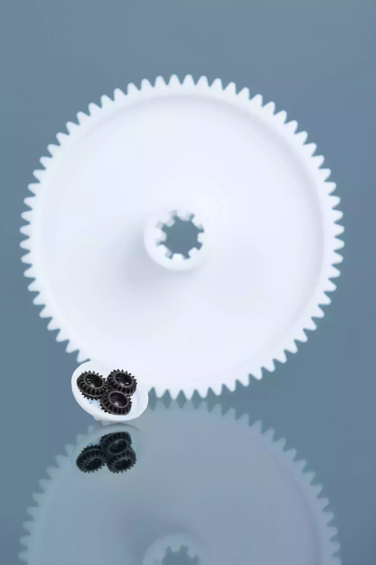 白色齿轮