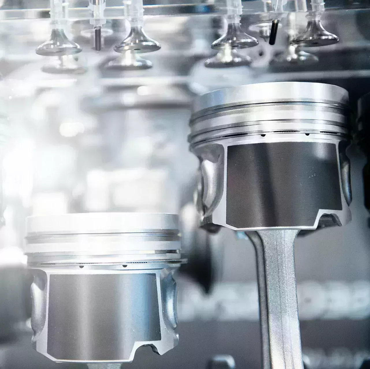 用于粘合涂层的两个活塞